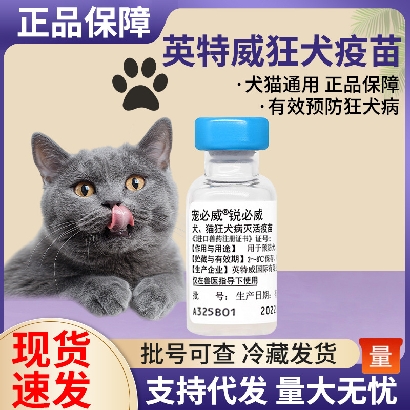 宠必威宠必威荷兰英特威狂犬病灭活疫苗犬猫用狗狗猫咪宠物用批发