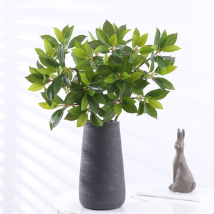 ��������~��ؔ�~ �ָ��z���Gɫ�~�ӼҾ��҃Ȳ廨�[���٘�֦�~��