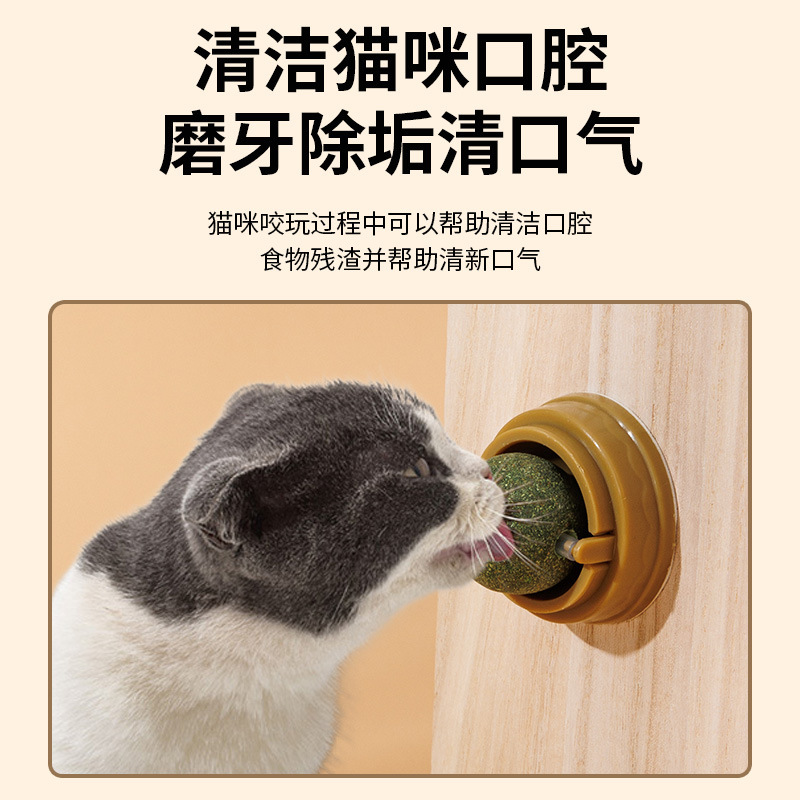 O1CN01pXpgRF1swBsdf0Zv2_!!2215