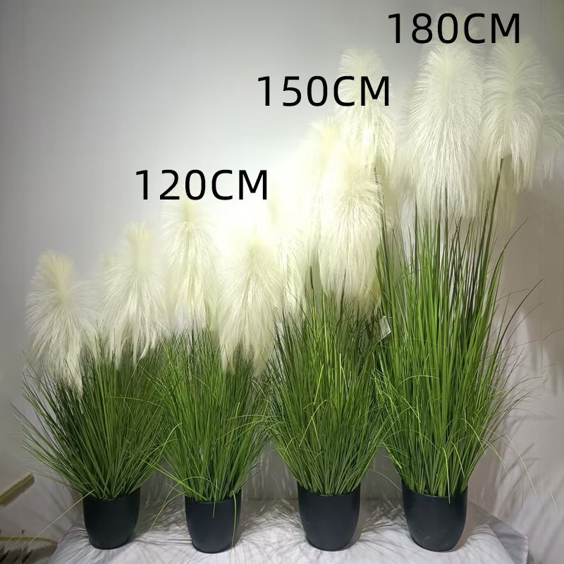 犬尾巴草シミュレーション花葦草偽草シミュレーション緑植毛虫猫尾草偽花箱装飾造景観|undefined