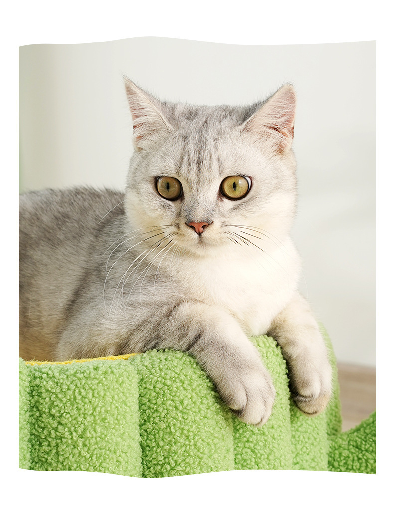 Charming Addition to Your Home