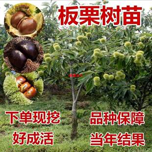�޽Ӱ�������������t�۰����������Ե����ϱ���ͥԺ�N����Y����