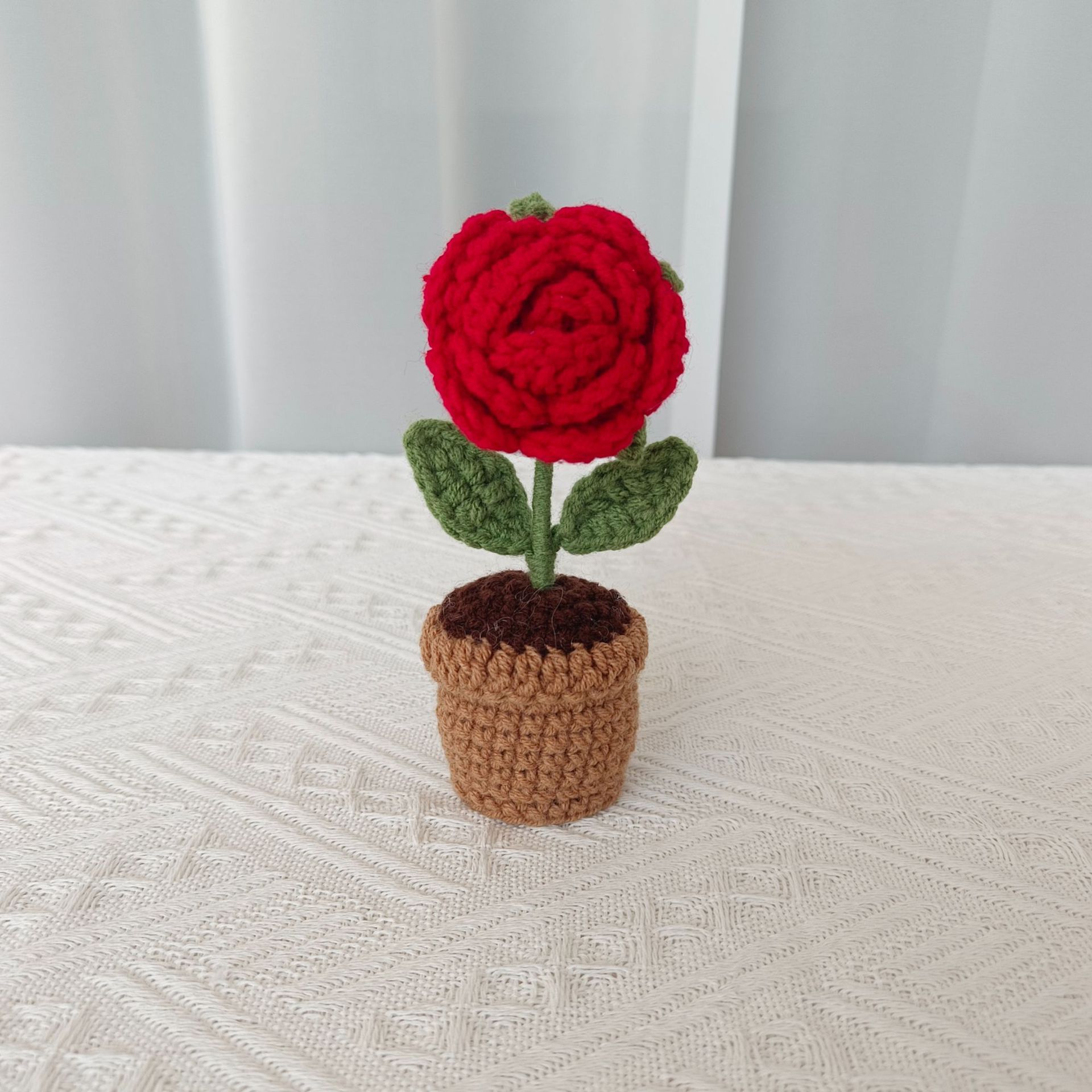 붉은 장미 화분