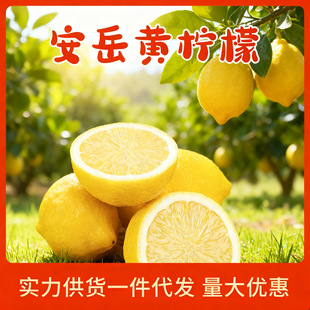 �Ĵ������S���ʹ�Ƥ����֭���r����ˮ���㙎���̲�������]