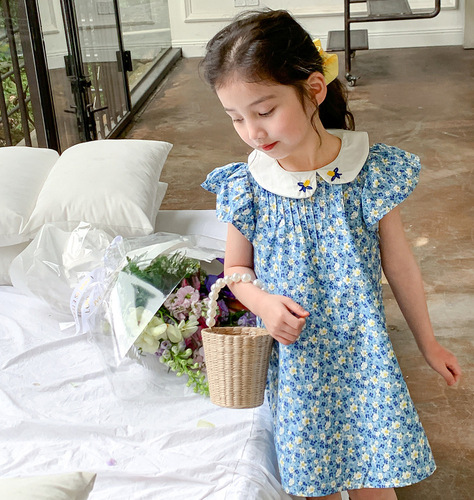 Girls' Skirt Embroidery Baby Collar Sleeveless Dress Princess Dress 2024 Summer New Fashion Foreign Trade Children's Clothing Drop Shipping 