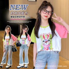 2024年夏季休閒風B類棉T恤女中大童短袖圓領時尚出行穿搭一件代發