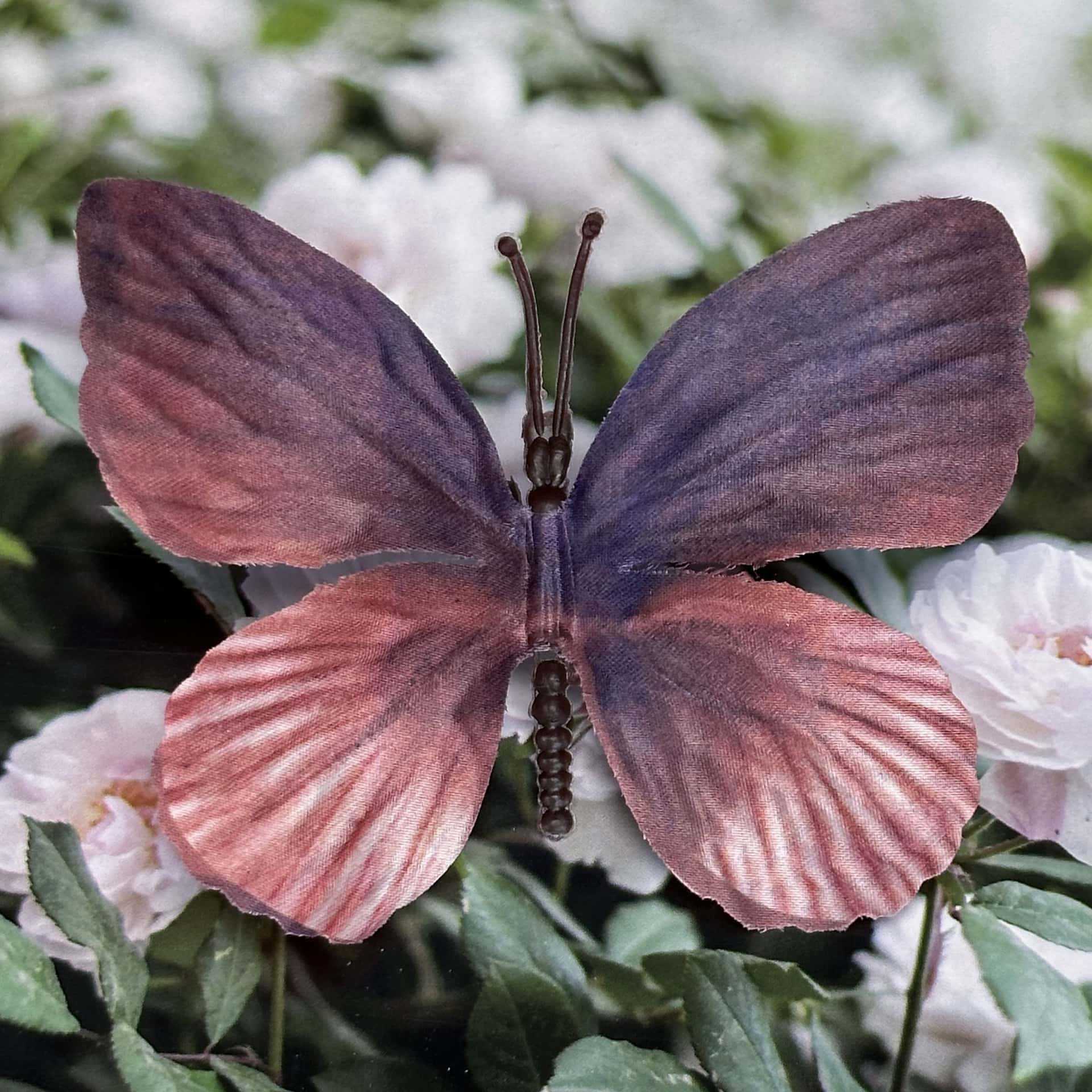 Seda 11CM color mariposa talla grande 12