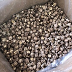 2025 西渓新花きのこ乾物干し椎茸肉厚干し椎茸原産地卸売直接供給大量スポットバルク