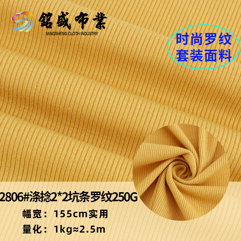 2*2螺纹涤捻坑条罗纹面 料春夏女款针织打底衫时装布料 现货直供