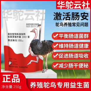 �����c��250g�r�B�Bֳ���}���Դ�����͏�����������