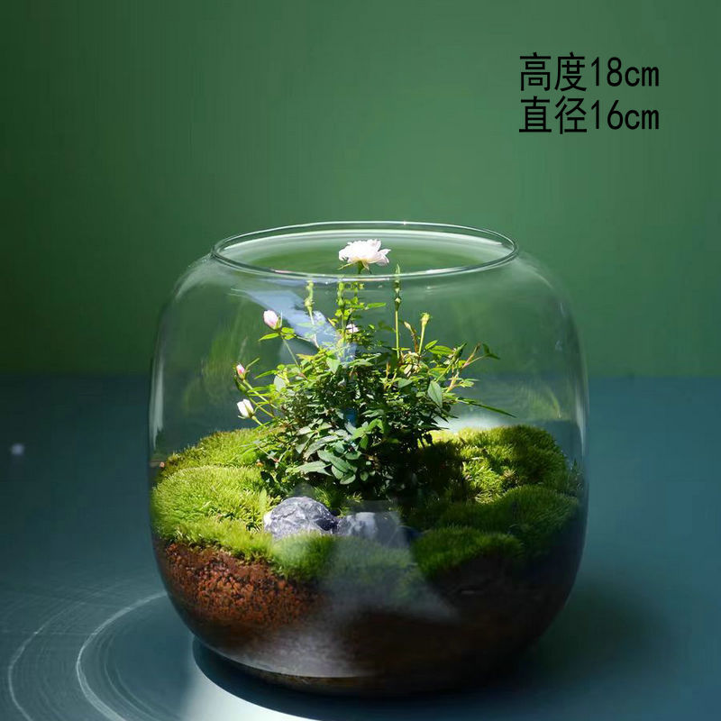작은 생태 병 (꽃병 만) 투명