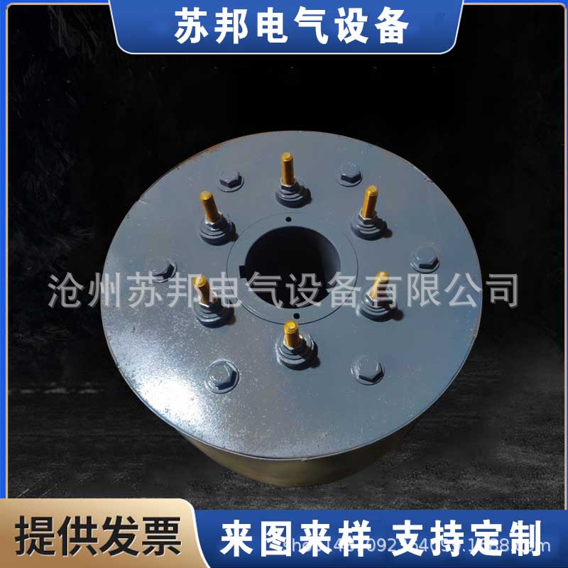 苏邦厂家生产 130 kw无刷无环启动器 180kw 245KW 无刷无环启动器