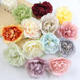 10cmĵl c廨Ʒ|bĔz߻c