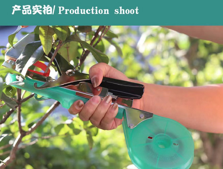 微信图片_20240410142540