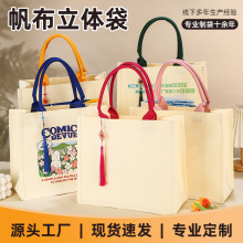 立体帆布托特包定制LOGO学校宣传覆膜帆布包订制带流苏帆布袋定做