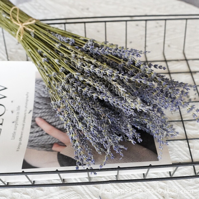 Yunnan Dried Flower Factory Directly Supply Lavender Dried Flower bouquet Sacht Filled Flower Home Flower Lavender in stock Yunnan Dried Flower Factory Directly Supply Lavender Dried Flower bouquet Sacht Filled Flower Home Flower Lavender in stock