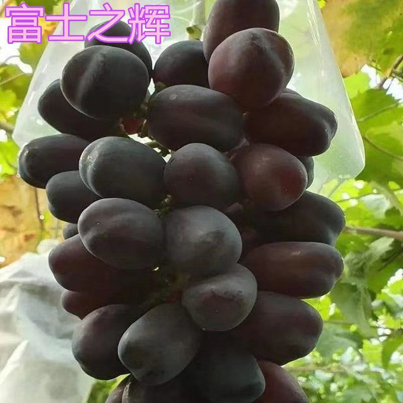 微信图片_20220902145510