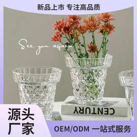 法式简约创意大口径水晶花瓶玻璃透明水养插花鲜花客厅高级感摆件