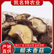 香菇批发零售林下野生纯椴木香菇产地一手货源采购大货高山灵芝