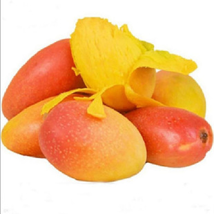 �����F��â���rˮ�������â�����]�V���l؛�����F��âһ�����l