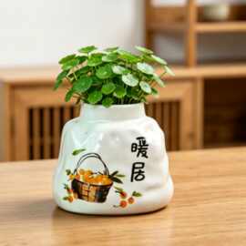 中式吉祥书法陶瓷水培花盆创意不规则桌面铜钱草绿植简约装饰盆栽