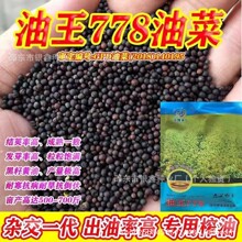�Ͳ��ѷN�ѳ�������778���D�����Ͳ˻��N��ԭ�b�ļ��߲˷N�Ӵ�ȫ