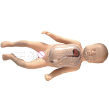 TJ/L67BT���������������o�}���ģ�����������ģ�ͽ̌W��Ӗģ��