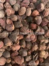 中药材蒸岗稔子干中药材蒸桃金娘干山稔子干长期批量供应量大从优