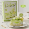 K362 Triangle Green Lip Cake [Color Box]