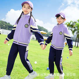 紫色幼儿园服春秋运动服两件套装小学一年级校服师生同款儿童班服