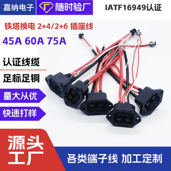 75A2+6换电插头线2+4插座线新国标铁搭换电柜电池线紫铜材质