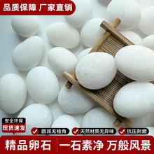 白卵石白色鹅卵石鱼缸水景盆栽园艺大小卵石园林铺路厂家直销