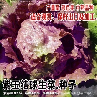 ����Y�����˷N�������˰��������̨�ļ��������~�����߲˲���