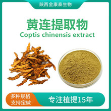 黄连提取物 10:1 水溶性黄连粉 双黄连粉 另有盐酸小檗碱 黄连素