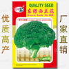 Vegetable Seed Company Four Seasons Easy to plant vegetables Flower Cover Seeds wholesale-East Green Zealand Causana Seed