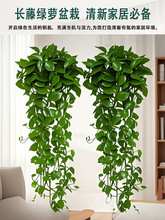 G}L҃ȿȩGֲܿ͏d~ֲGjl