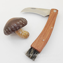 蘑菇刀 外贸转内销 户外大号采蘑菇刀具 现货一件代发