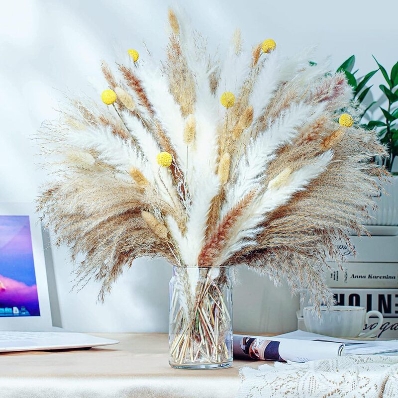 Natural Dried Flower Decoration Fluffy Puppy Reed Bohemian Home Decoration Flower bouquet wedding floral room home decoration