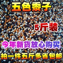 ��ɫ���ӻ�Ƥĵ�����P��С���W�^�Bʳ����W�^��ϼZ���������]