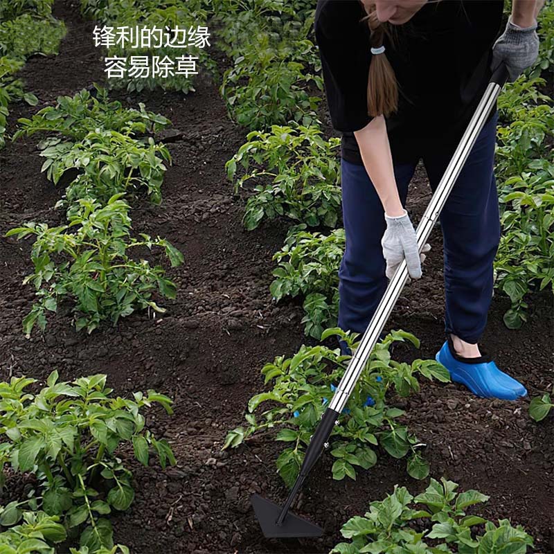 O1CN01QDLoIc1kAXsQoqbrZ_!!9836