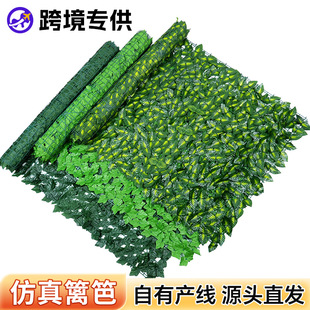 �羳����h�ʾ�ͥԺ�پG�~���ھGֲ�ړ��ř�����G�}����ֲ���b�