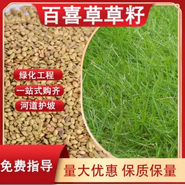 一二年生花卉;林业副产品;其他园林植物