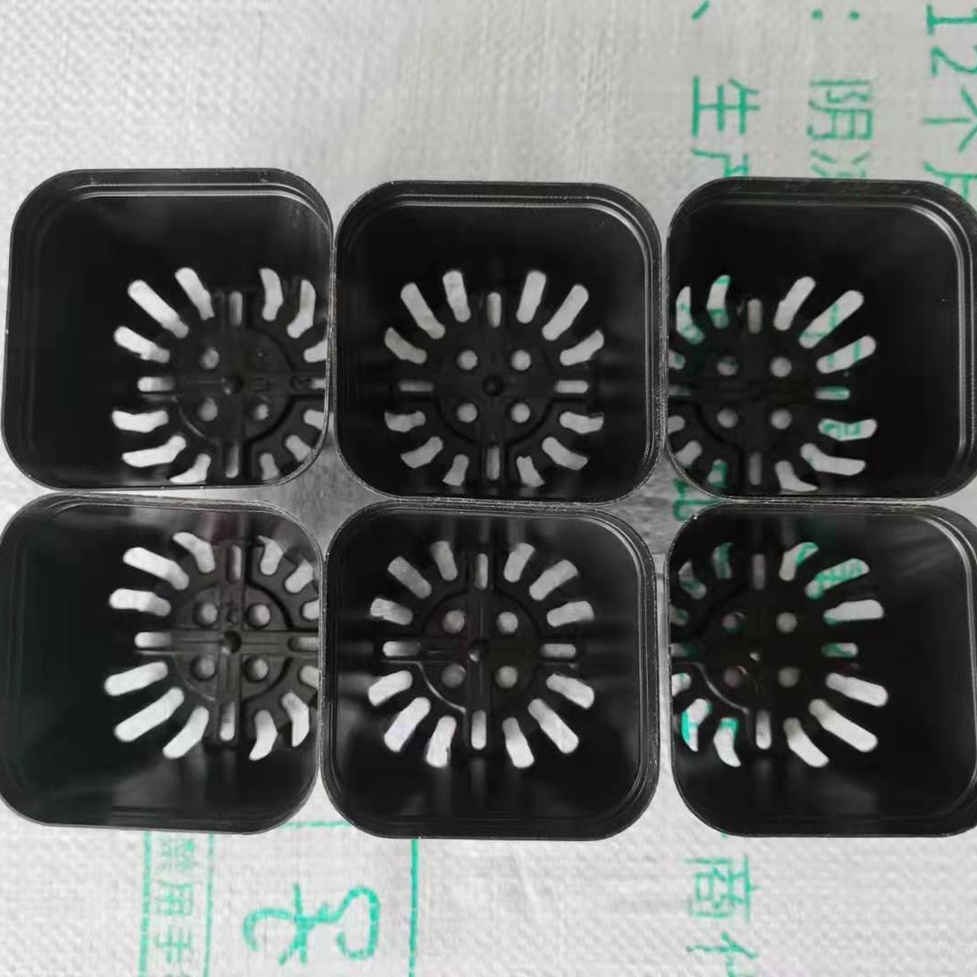 ΢��ͼƬ_202108021451395 ����