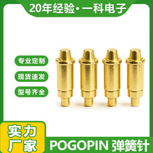 �S��ֱ�N������p�^������쾀������POGOPIN�t����̽��B����