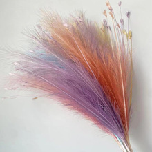 孔雀草仿真花芦苇永生花园林造景装饰品家居婚庆装饰烟花芦苇