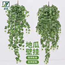 ���l����Gֲ�ָеعϱڒ�Gɫ�ҾӴ����b��ܵ��@����پGֲ