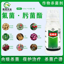 ݶ ¶ɭ 뿾 ׷۲crș100ml