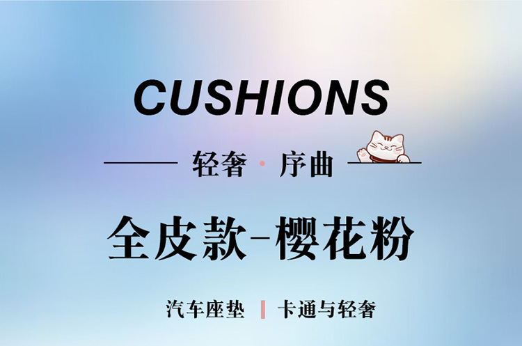 24 years Car seat cover new all-inclusive lucky series full leather car cushion four seasons wholesale Amazon