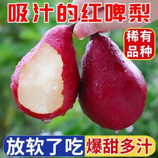 红啤梨9斤新鲜水果当季整箱包邮红皮梨红脾梨香软梨子当季现摘5-阿里巴巴