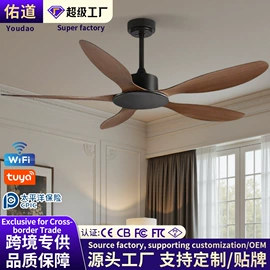 风扇灯;吸顶灯